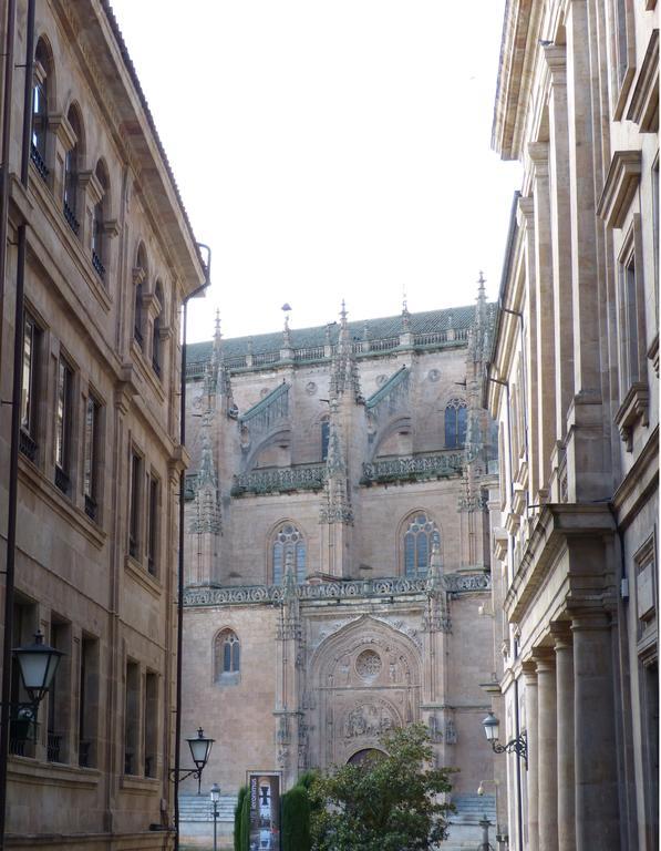 Las Catedrales De Salamanca Cameră foto